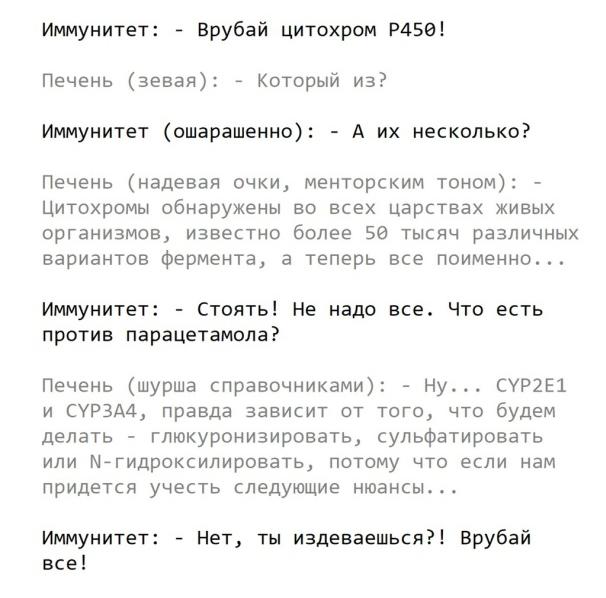 Как организм борется с инфекцией простым языком