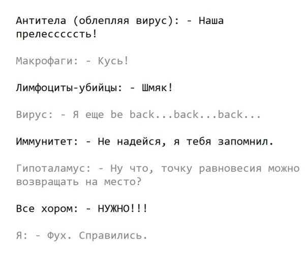 Как организм борется с инфекцией простым языком
