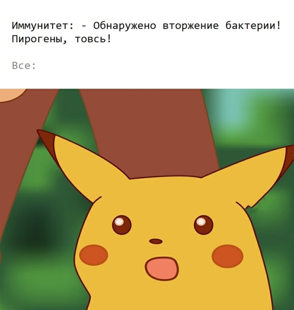 Как организм борется с инфекцией простым языком