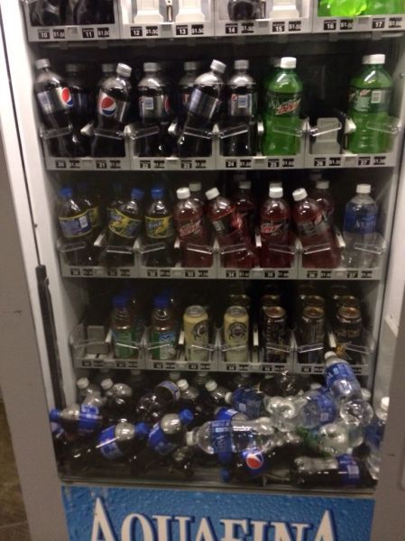 Прикольные картинки (72 фото)