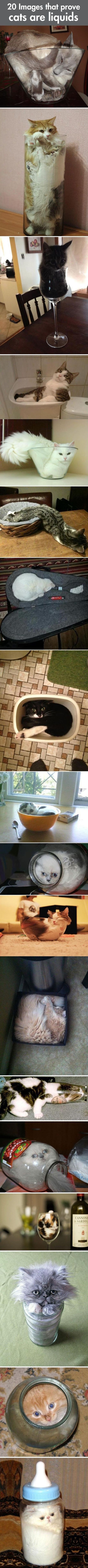 Прикольные картинки (72 фото)