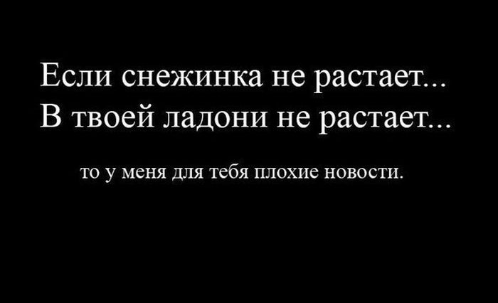 Прикольные картинки (81 фото)