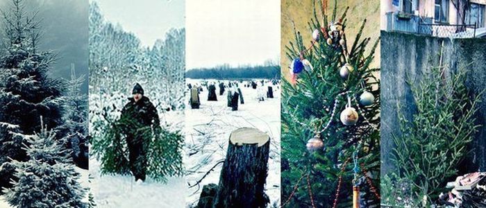 Прикольные картинки (81 фото)