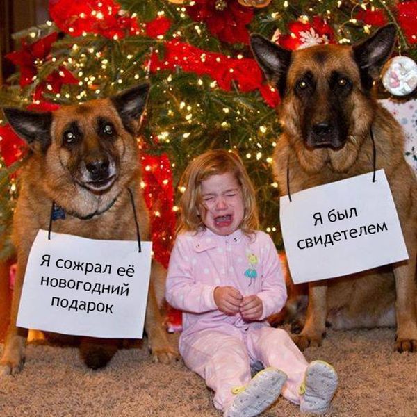 Прикольные картинки (81 фото)