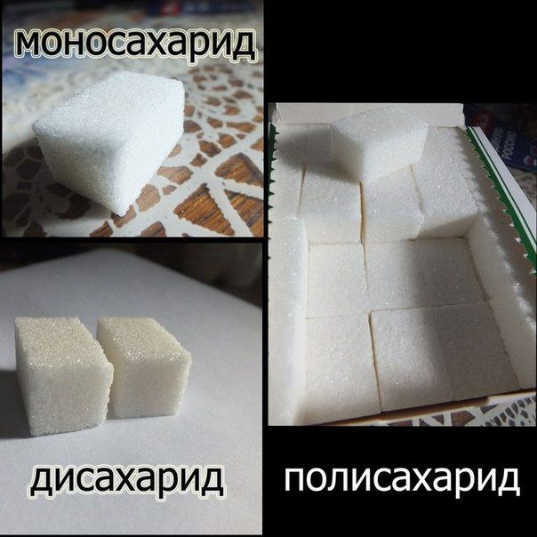 Прикольные картинки (81 фото)