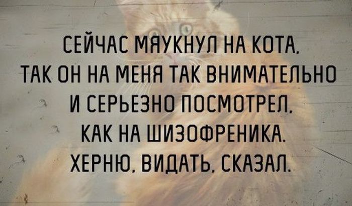 Прикольные картинки (81 фото)