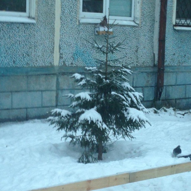 Вандалы вновь напомнили о себе