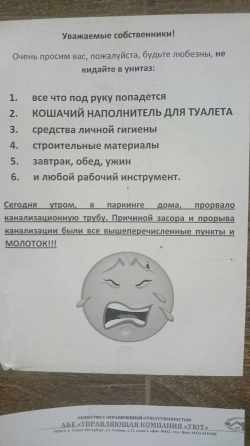Прикольные картинки
