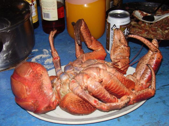 Кокосовый краб