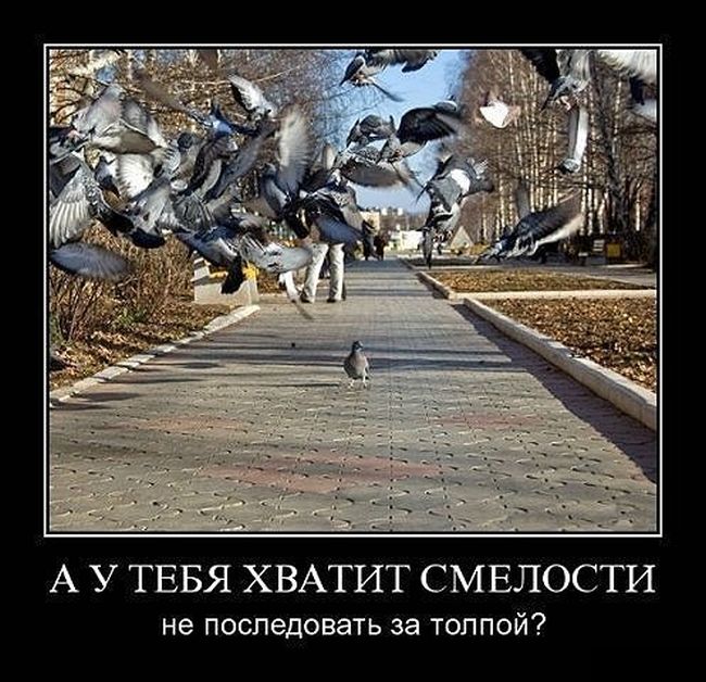 Демотиваторы