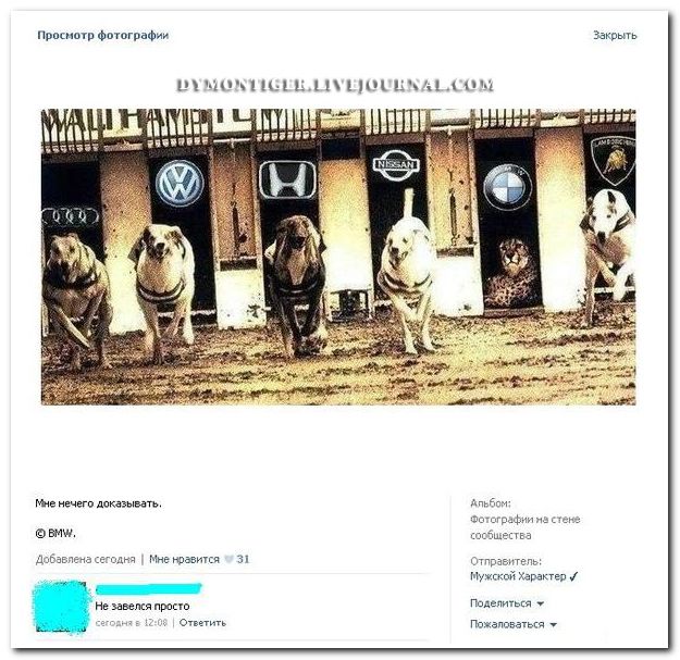 Веселые комментарии (39 фото)