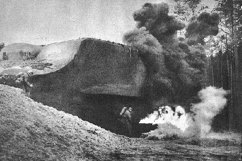 Тайны Линии Мажино (26 фото)