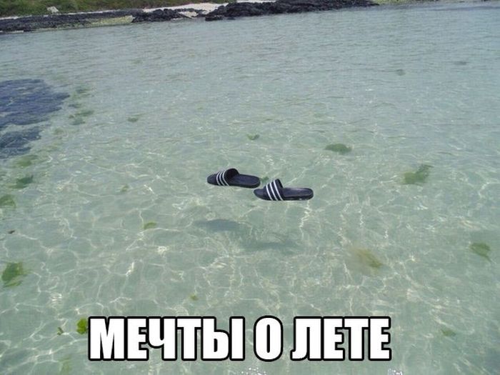 Порция картинок
