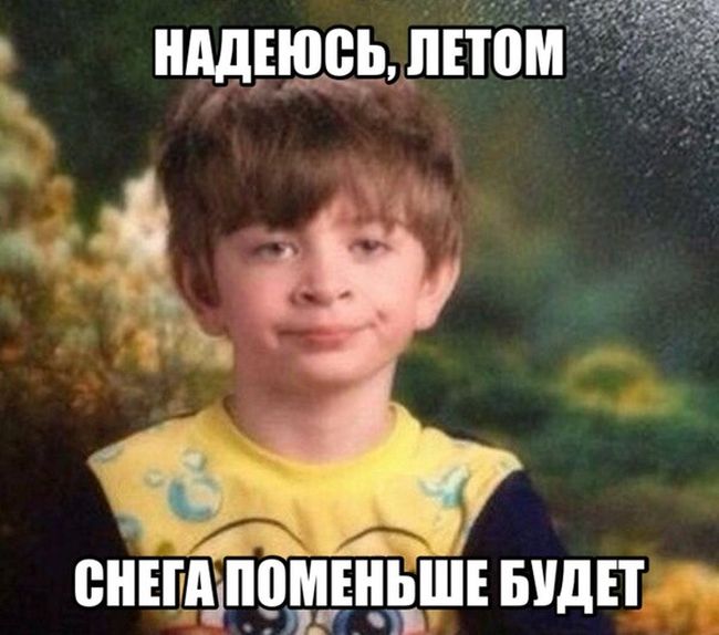 Порция картинок