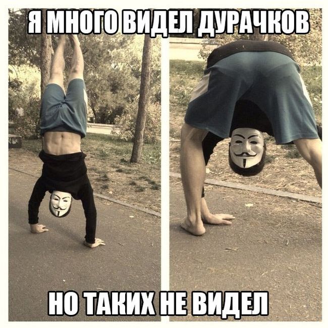 Порция картинок