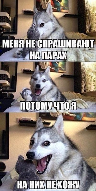 Порция картинок