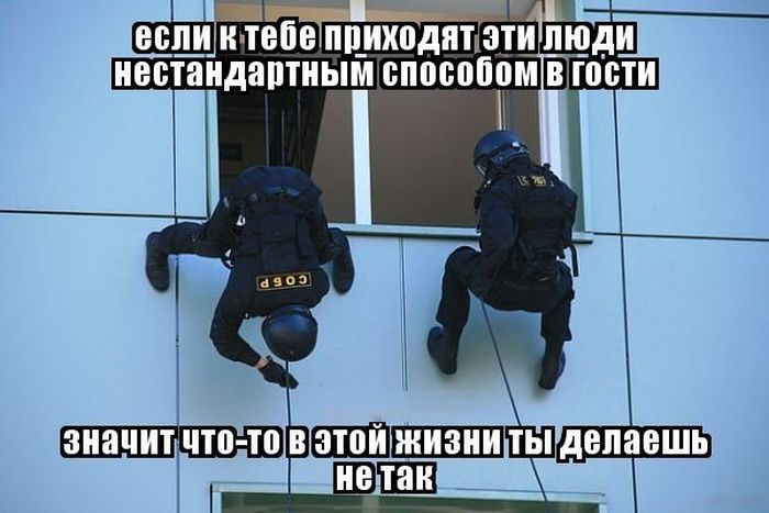 Порция картинок