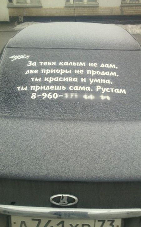 Порция картинок
