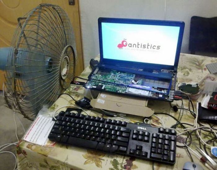 Порция картинок