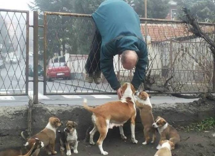 Прикольные картинки