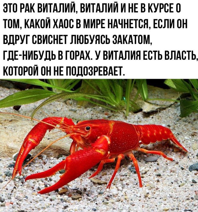 Прикольные картинки