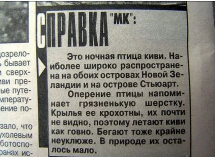Незабываемые заголовки «бульварной прессы»