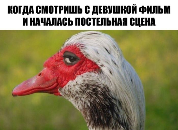 Отборный юмор из соцсетей