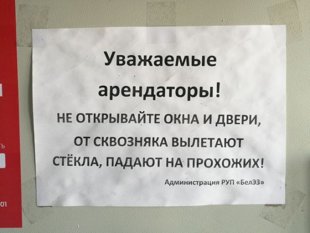 Прикольные картинки