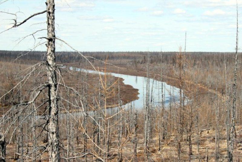 Интригующие сообщения об НЛО и инопланетянах из бывшего Советского Союза