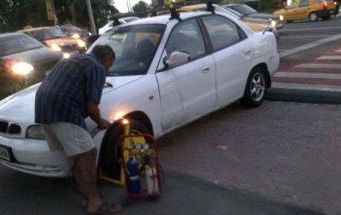 Прикольные картинки