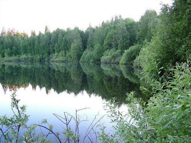 Сказочная Россия Сказочная Россия