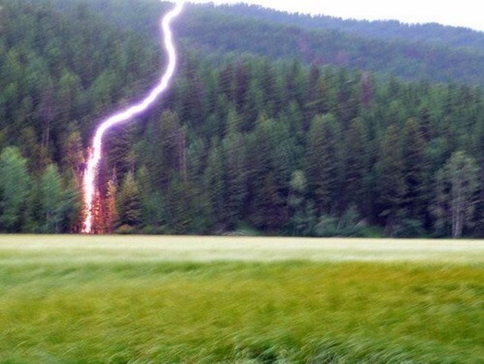 Порция картинок