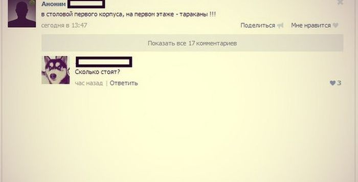 Порция картинок