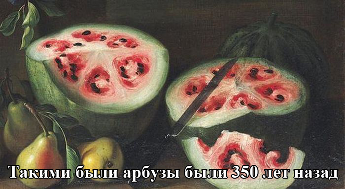 Порция картинок