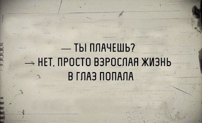 Порция картинок