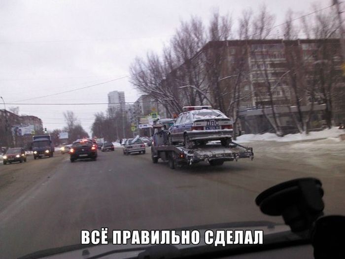 Порция картинок