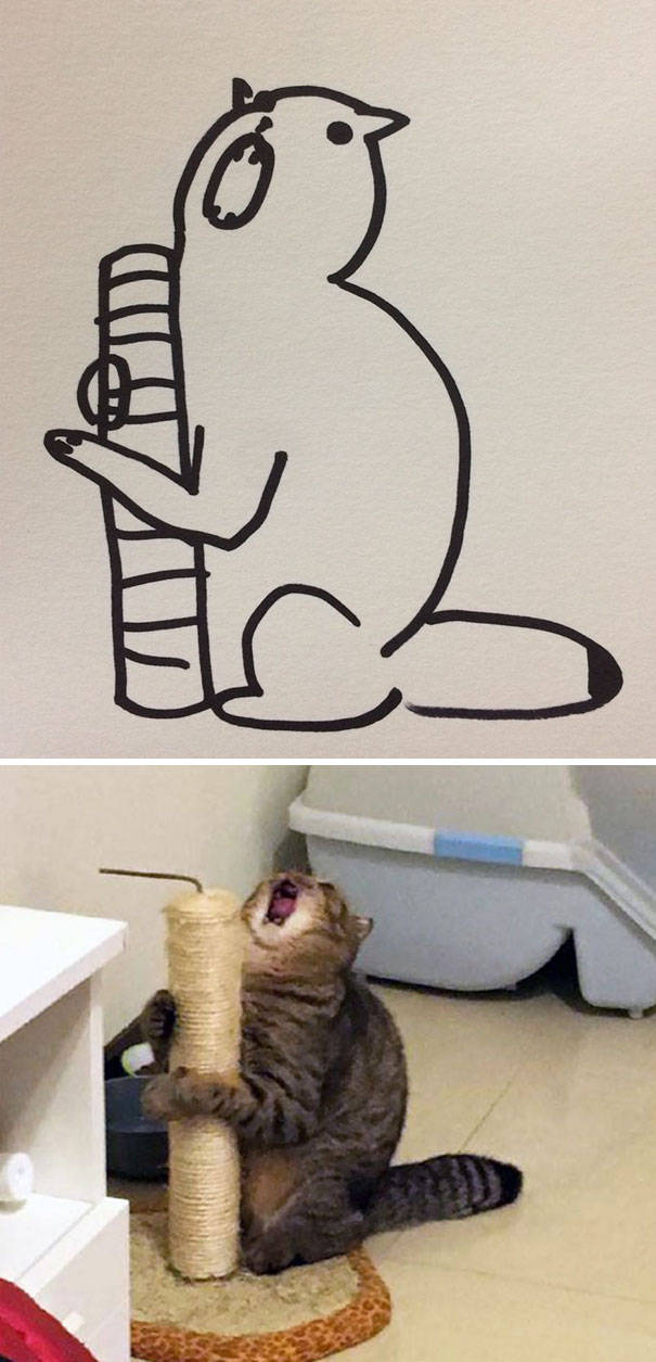 Прикольные рисунки котов