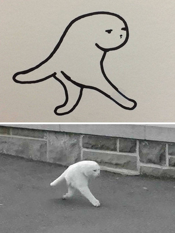 Прикольные рисунки котов