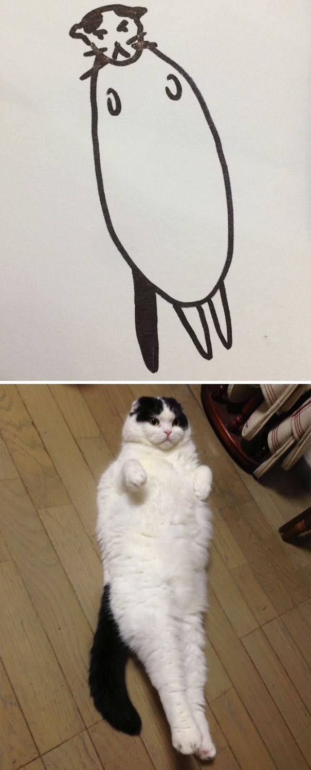 Прикольные рисунки котов