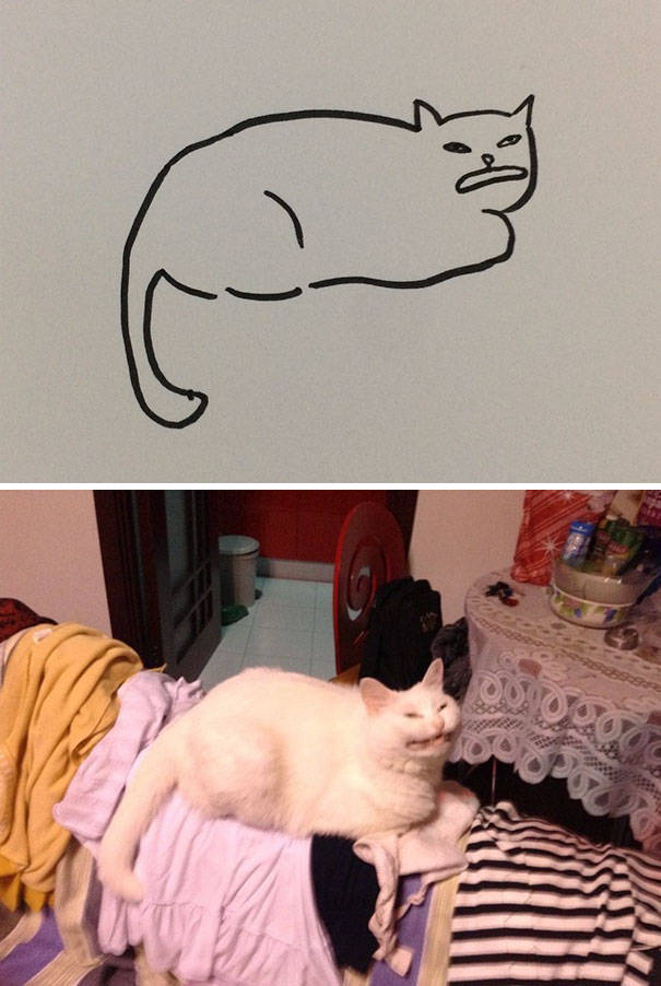 Прикольные рисунки котов