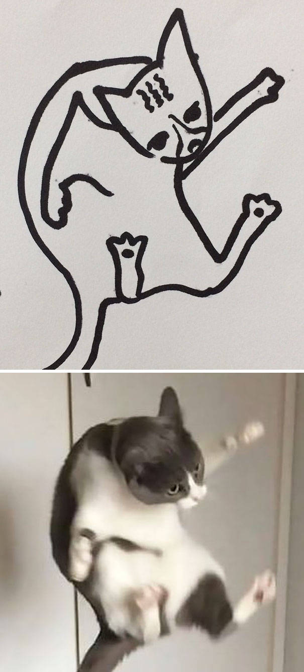Прикольные рисунки котов