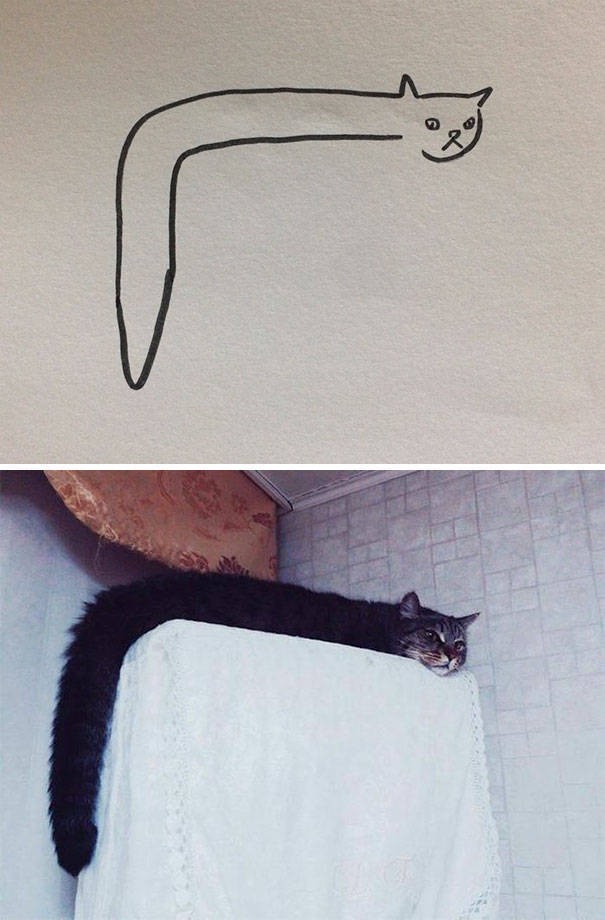 Прикольные рисунки котов