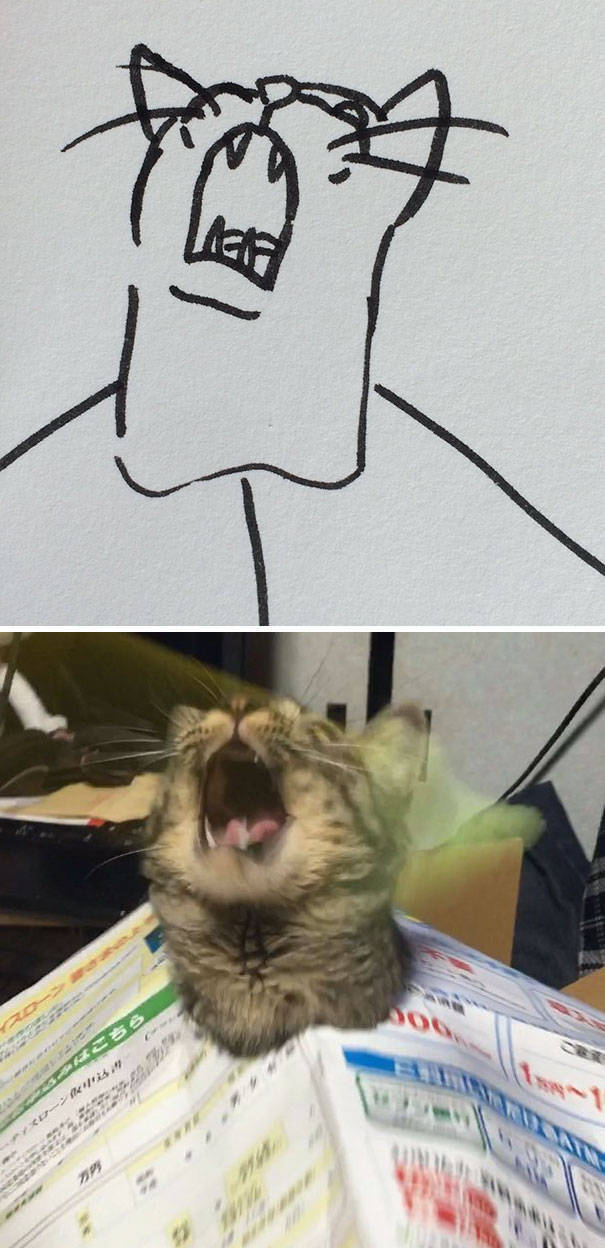 Прикольные рисунки котов