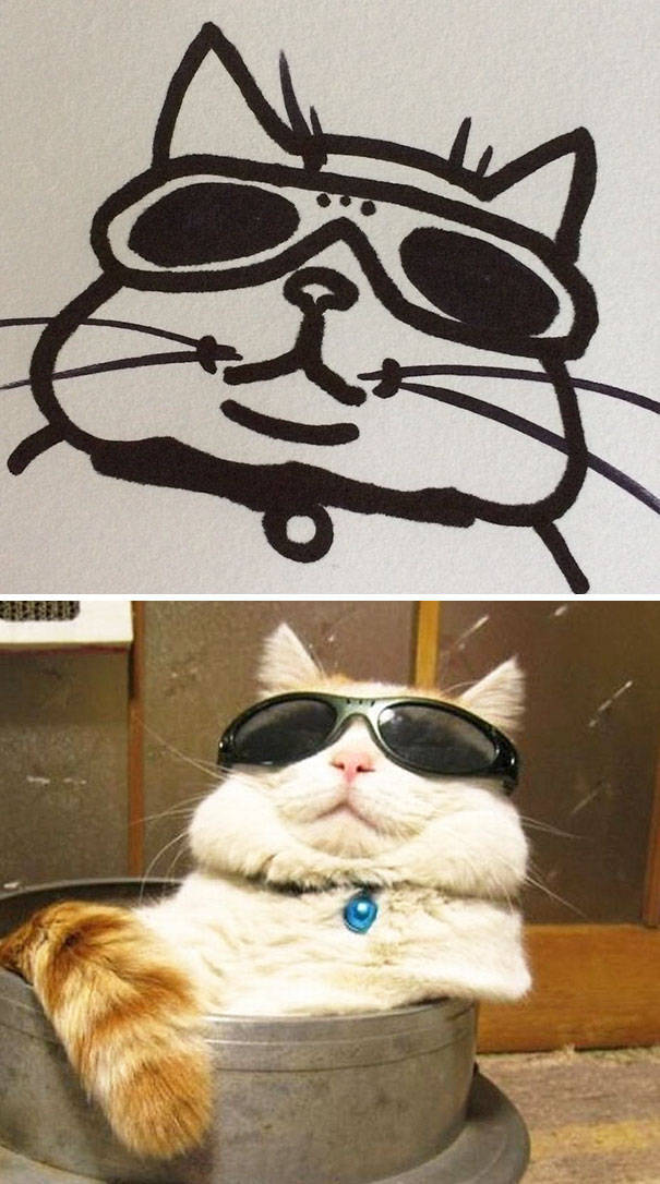 Прикольные рисунки котов