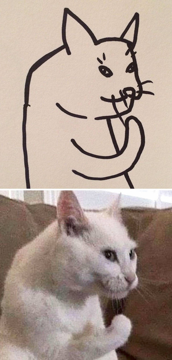 Прикольные рисунки котов
