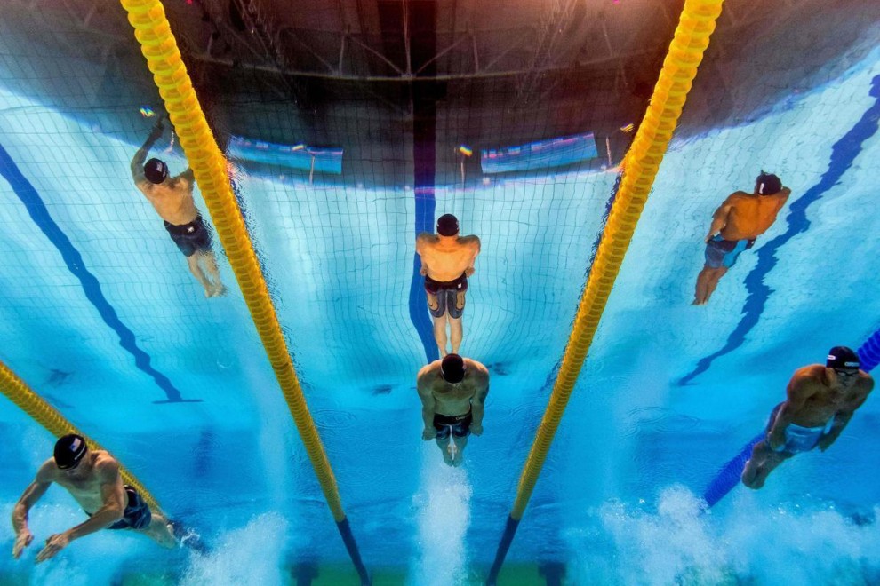 Как прошел Чемпионат мира по водным видам спорта 2017 Как прошел Чемпионат мира по водным видам спорта 2017
