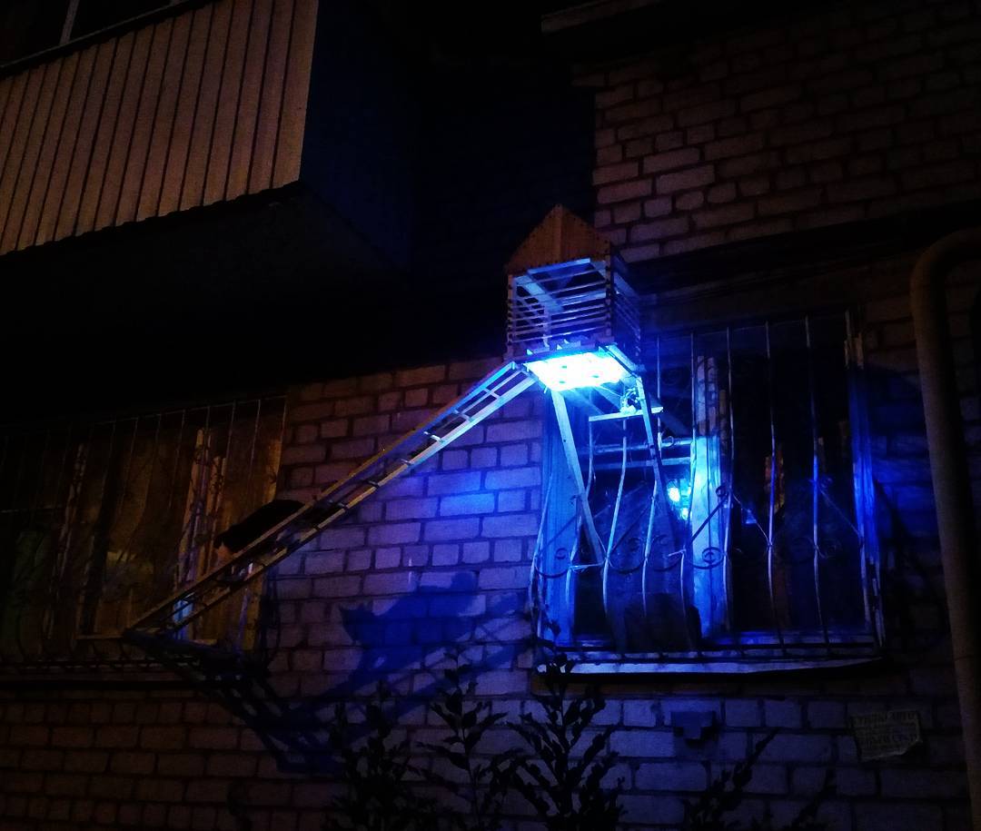 Парадный вход для кошки