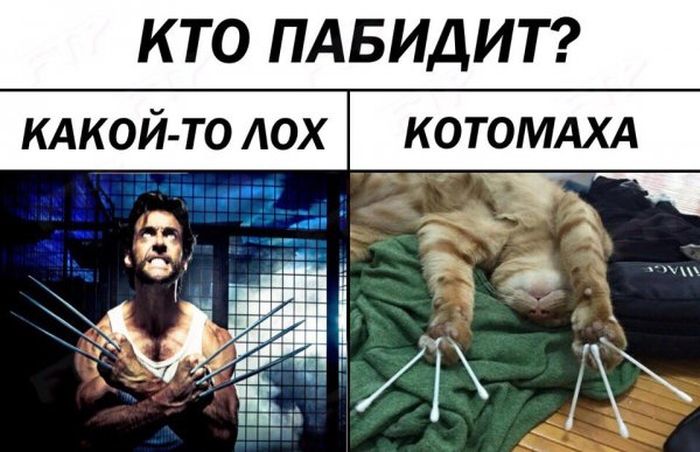 Подборка легкого юмора