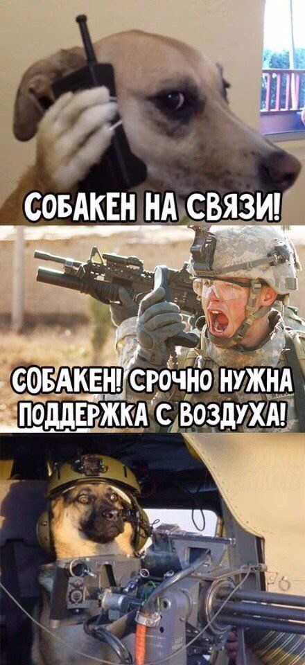 Подборка легкого юмора