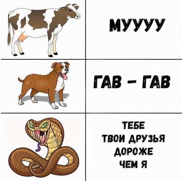 Подборка легкого юмора
